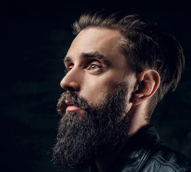 The Ultimate Guide to Grooming with Ontaki Scissors