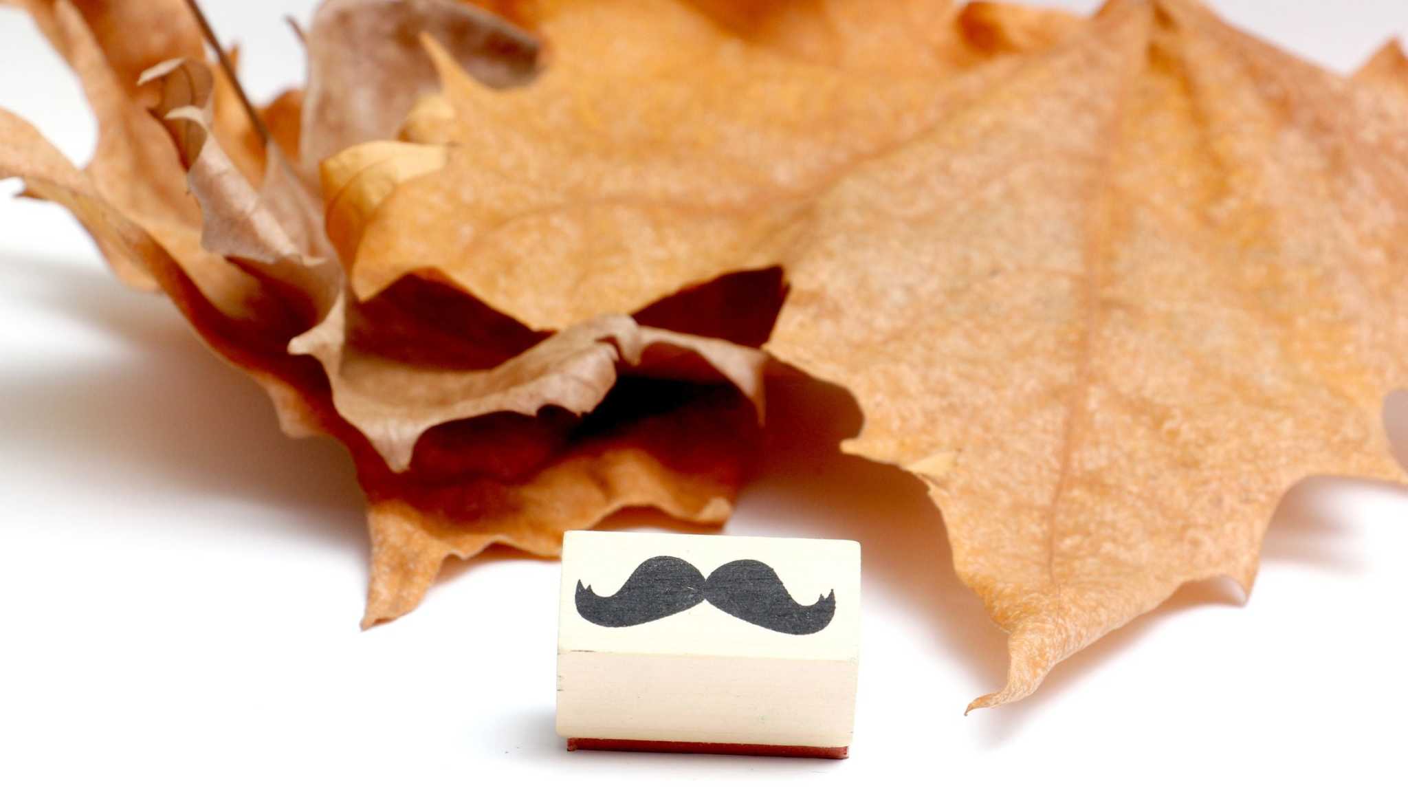 Movember mustache stamp with autumn leaves symbolizing men's health awareness campaign