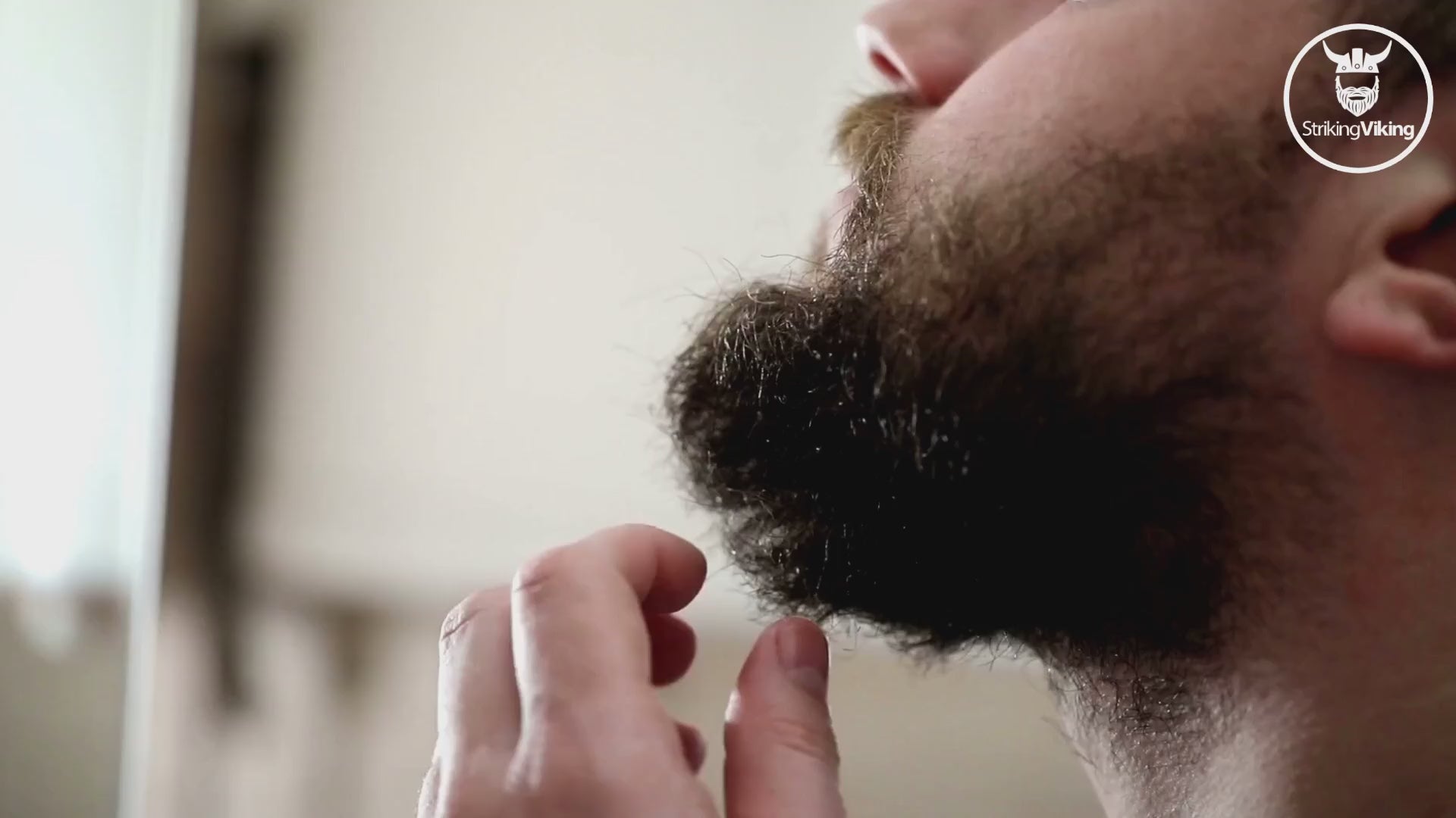 Striking Viking Unscented Beard Oil – Natural Organic Beard Care